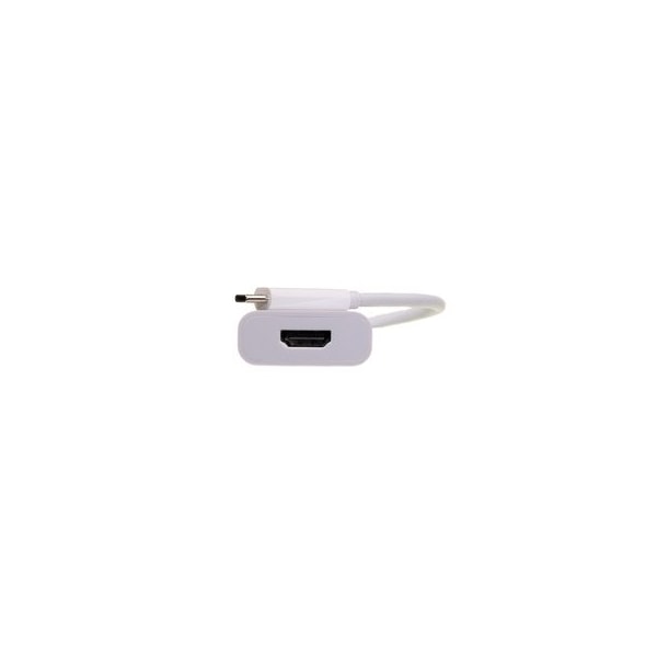 Cable Wholesale USB 3.1 Type C Male to HDMI Female Adapter, 4K at 60Hz 30U3-34260 - main